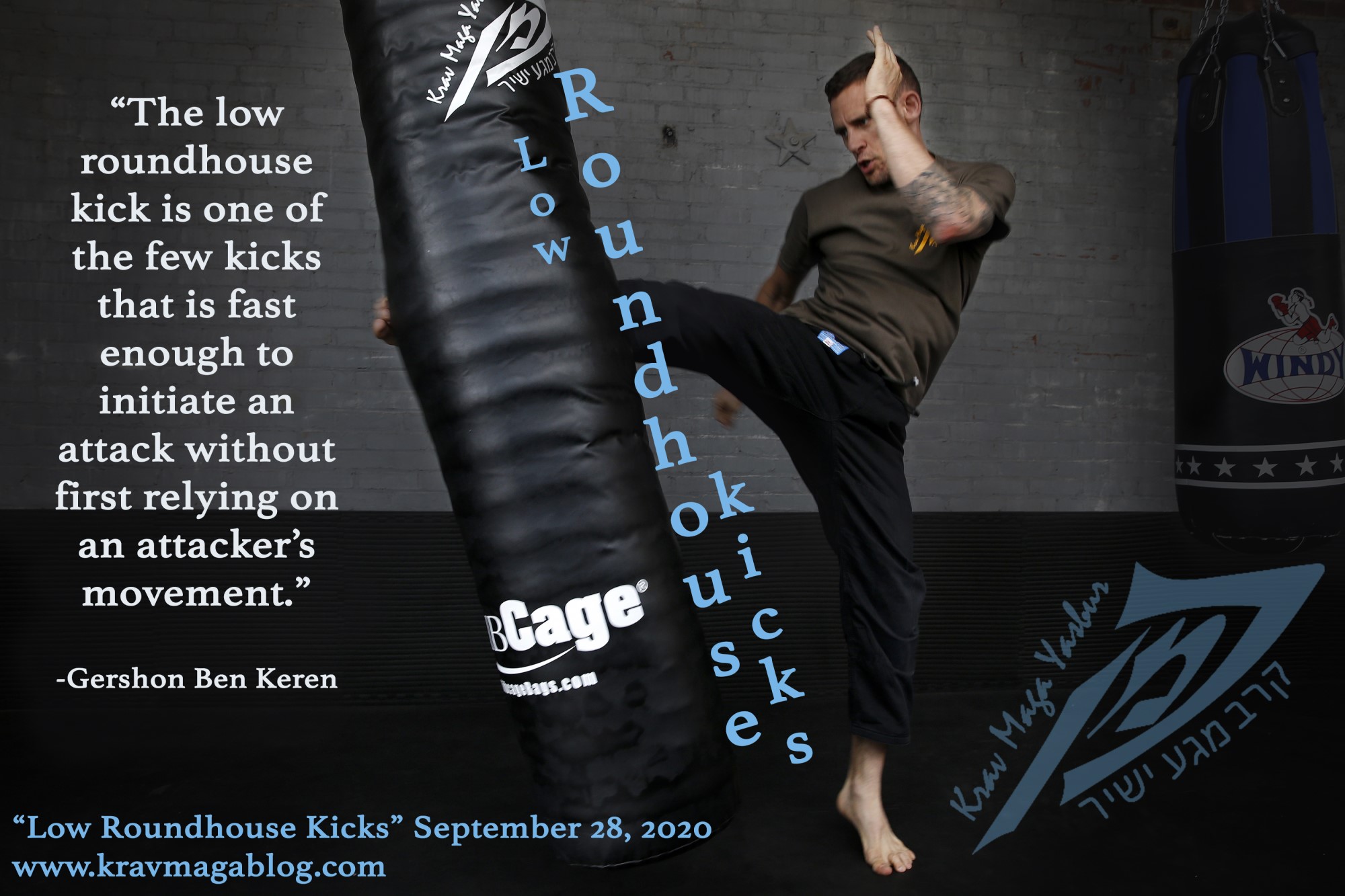 Blog About Roundhouse Kicks