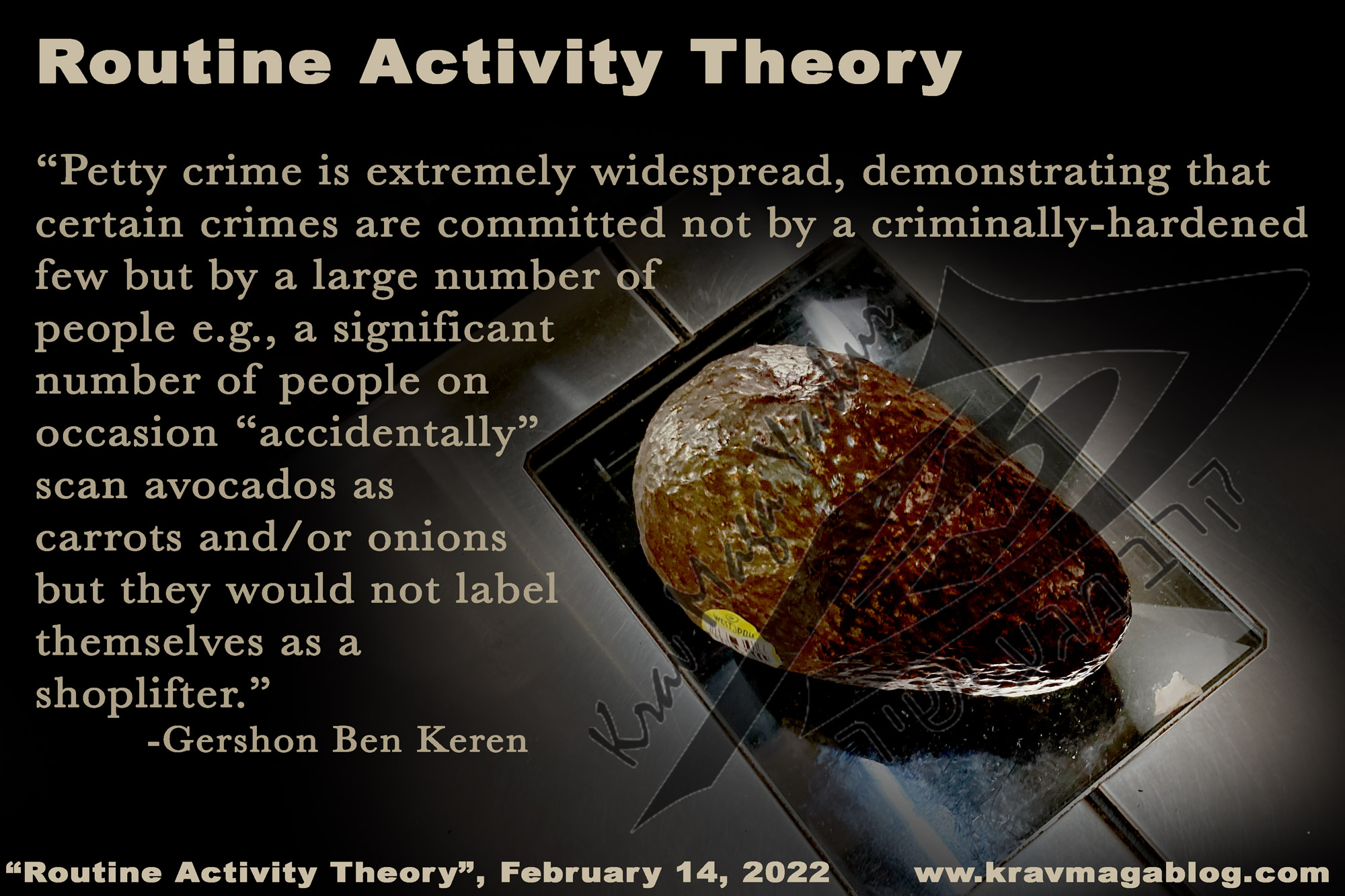 Blog About Routine Activity Theory