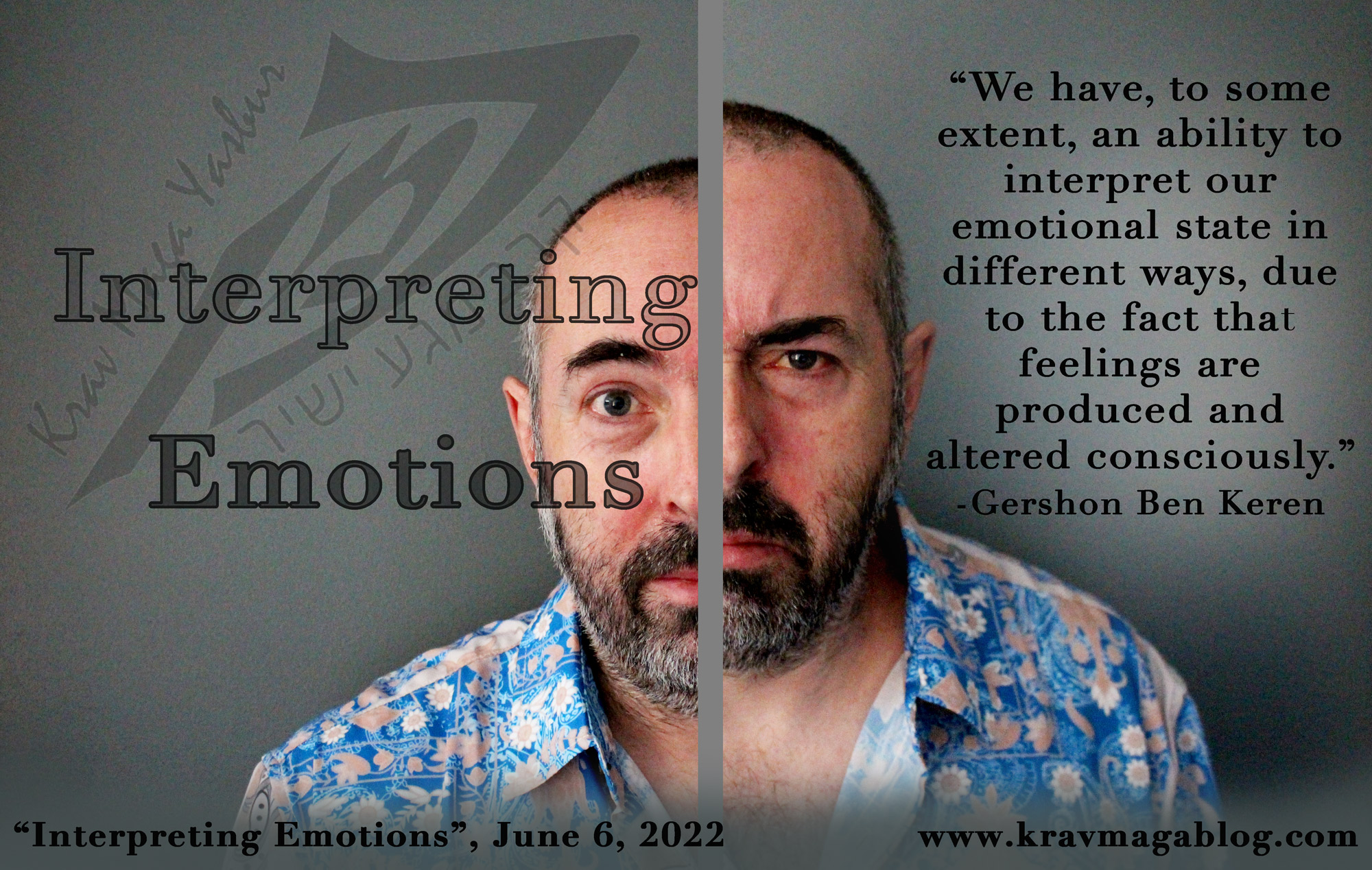 Blog About Interpreting Emotions