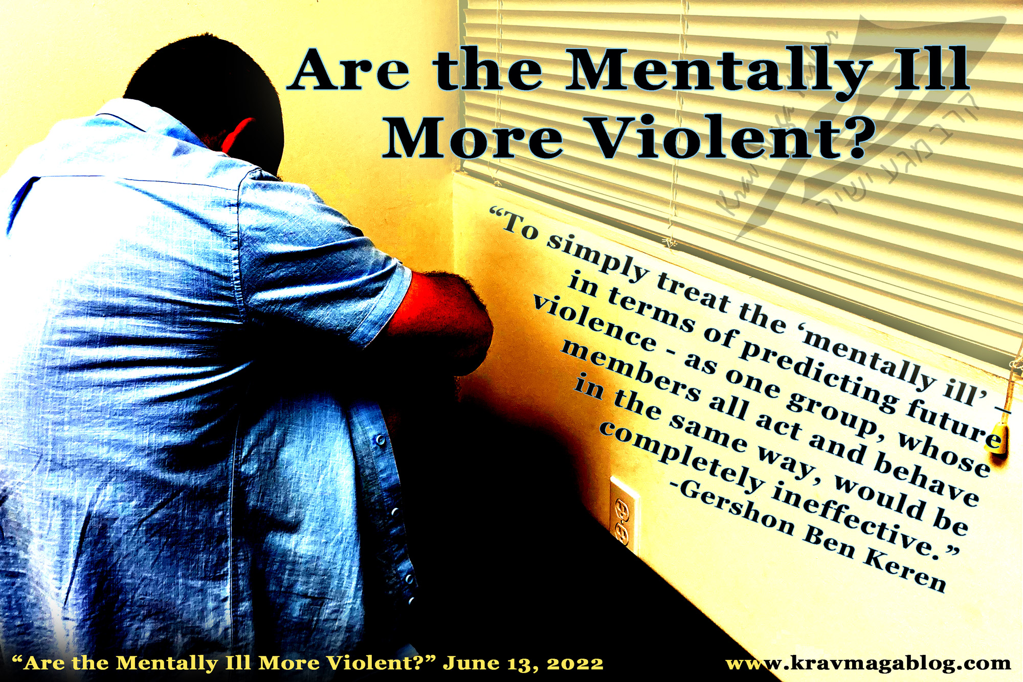 Blog About Are The Mentally Ill More Violent?