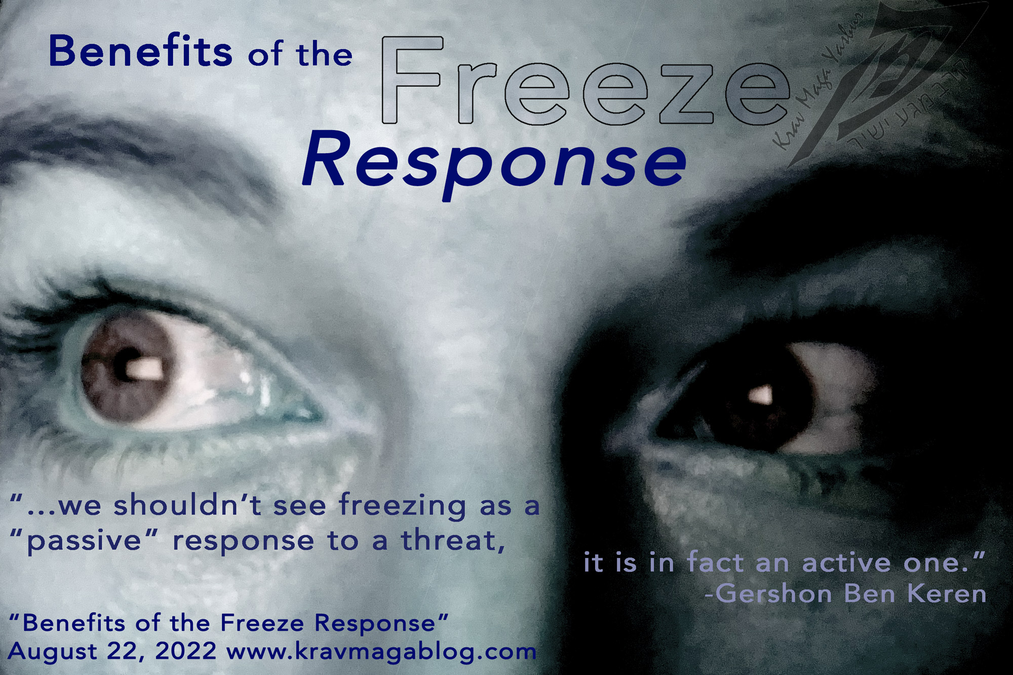 Blog About Benefits of the Freeze Response
