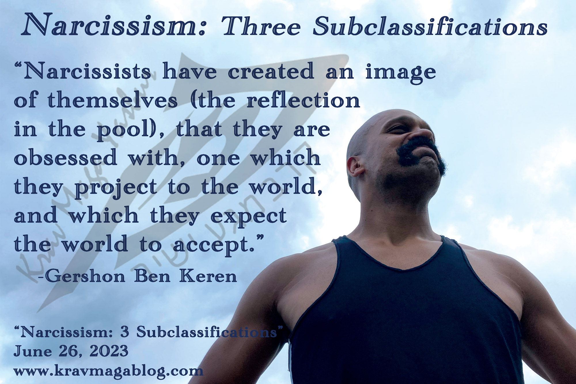 Blog About Narcissism: Three Subclassifications